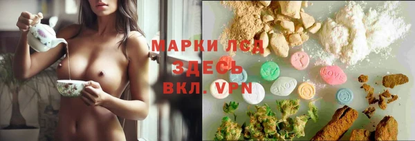 трава Аркадак