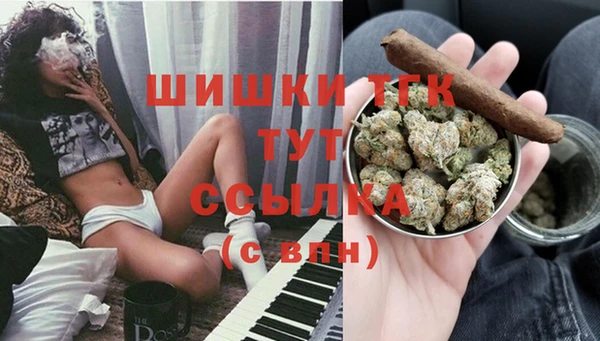 трава Аркадак