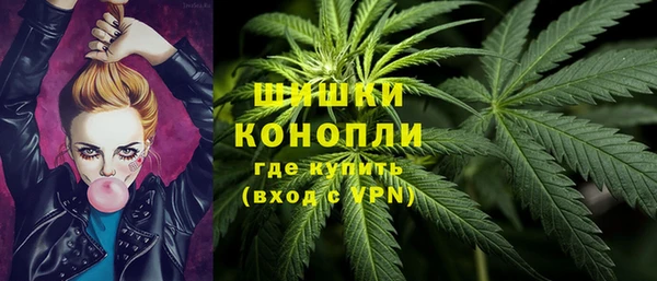 трава Аркадак