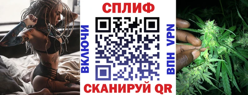 купить наркотик  Партизанск  Канабис тримм 